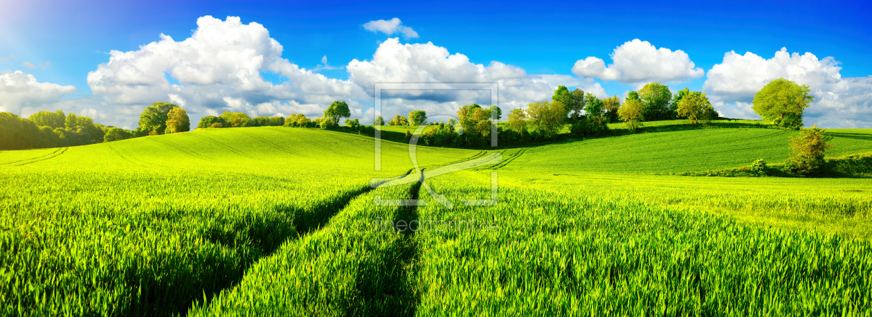 Bild-Nr.: 12150438 Panorama mit weiten  Wiesen und blauem Himmel erstellt von Smileus
