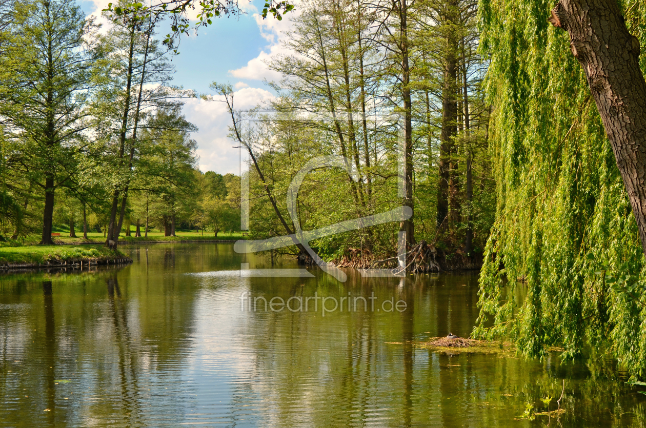 Bild-Nr.: 12155072 Frühling im Park  erstellt von Atteloi