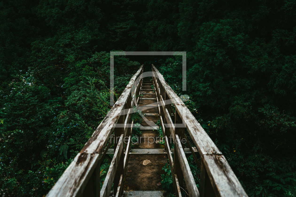 Bild-Nr.: 12158979 Wooden bridge in the forest erstellt von KundenNr-352704