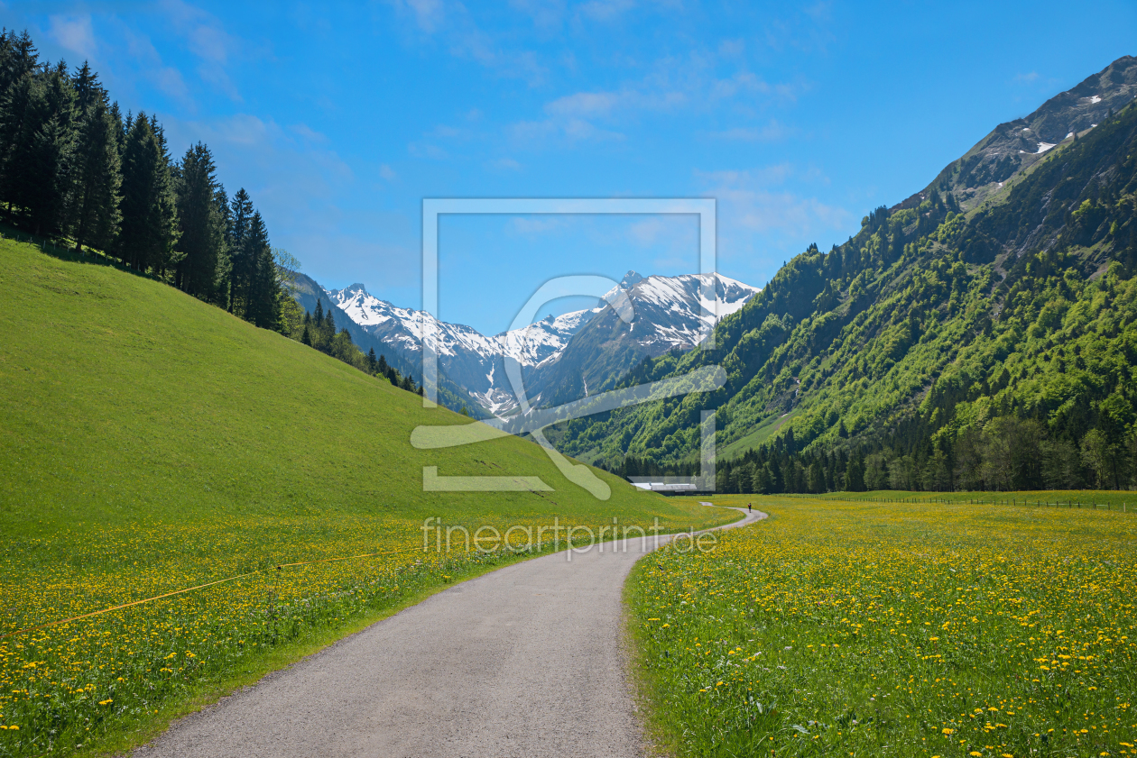 Bild-Nr.: 12162590 Frühlingsweg im Trettachtal bei Oberstdorf Allgäu erstellt von SusaZoom