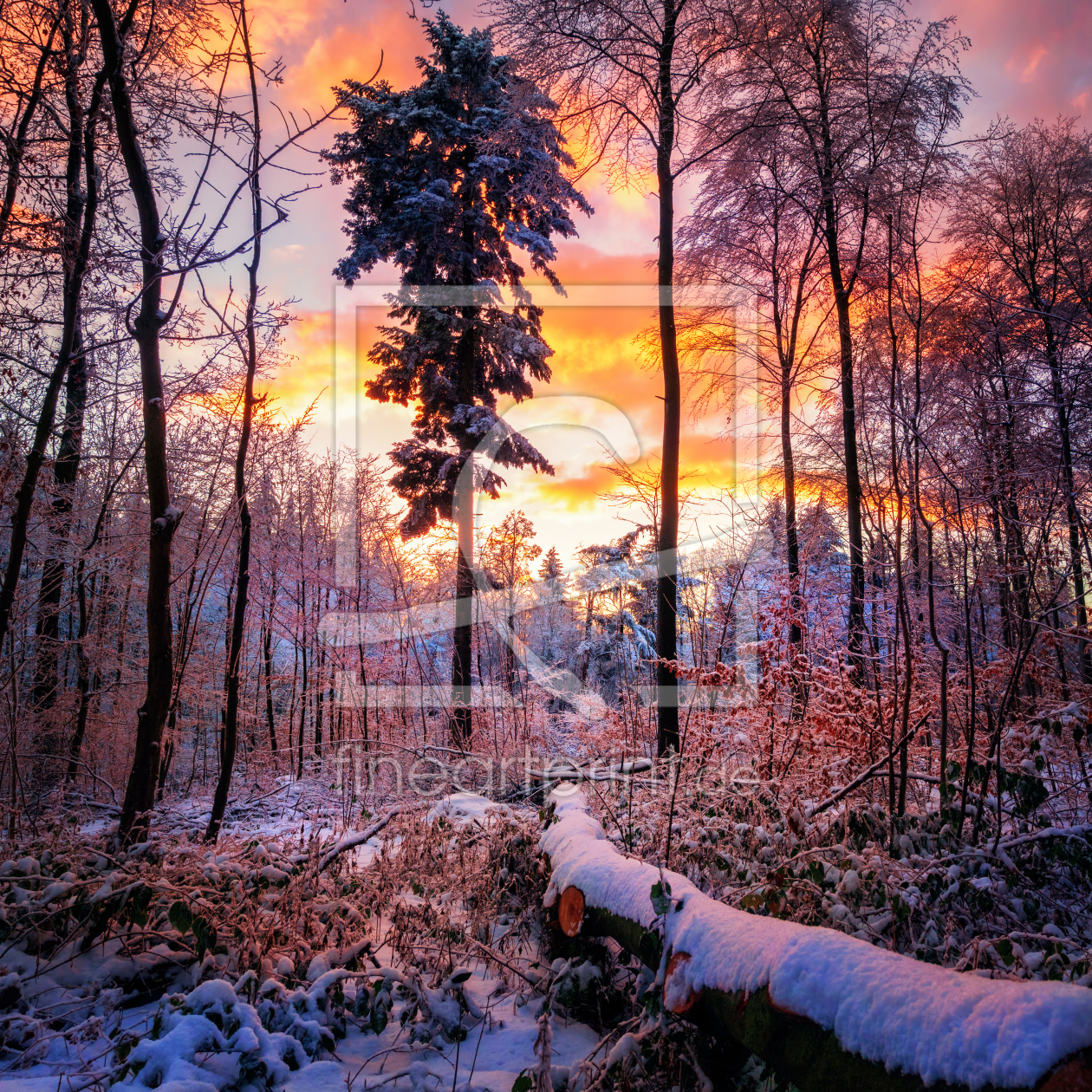 Bild-Nr.: 12163311 Dramatischer winterlicher Sonnenuntergang im Wald erstellt von Smileus