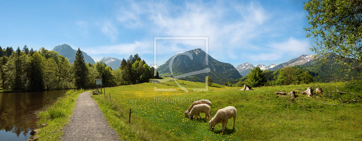 Bild-Nr.: 12165591 Allgäuer Alpenidylle im Frühling - bei Oberstdorf erstellt von SusaZoom