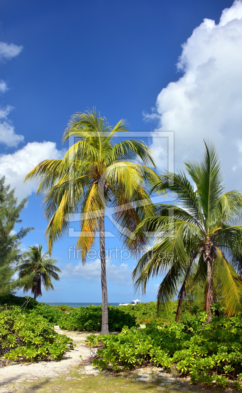 Bild-Nr.: 12165910 Grand Cayman erstellt von GUGIGEI
