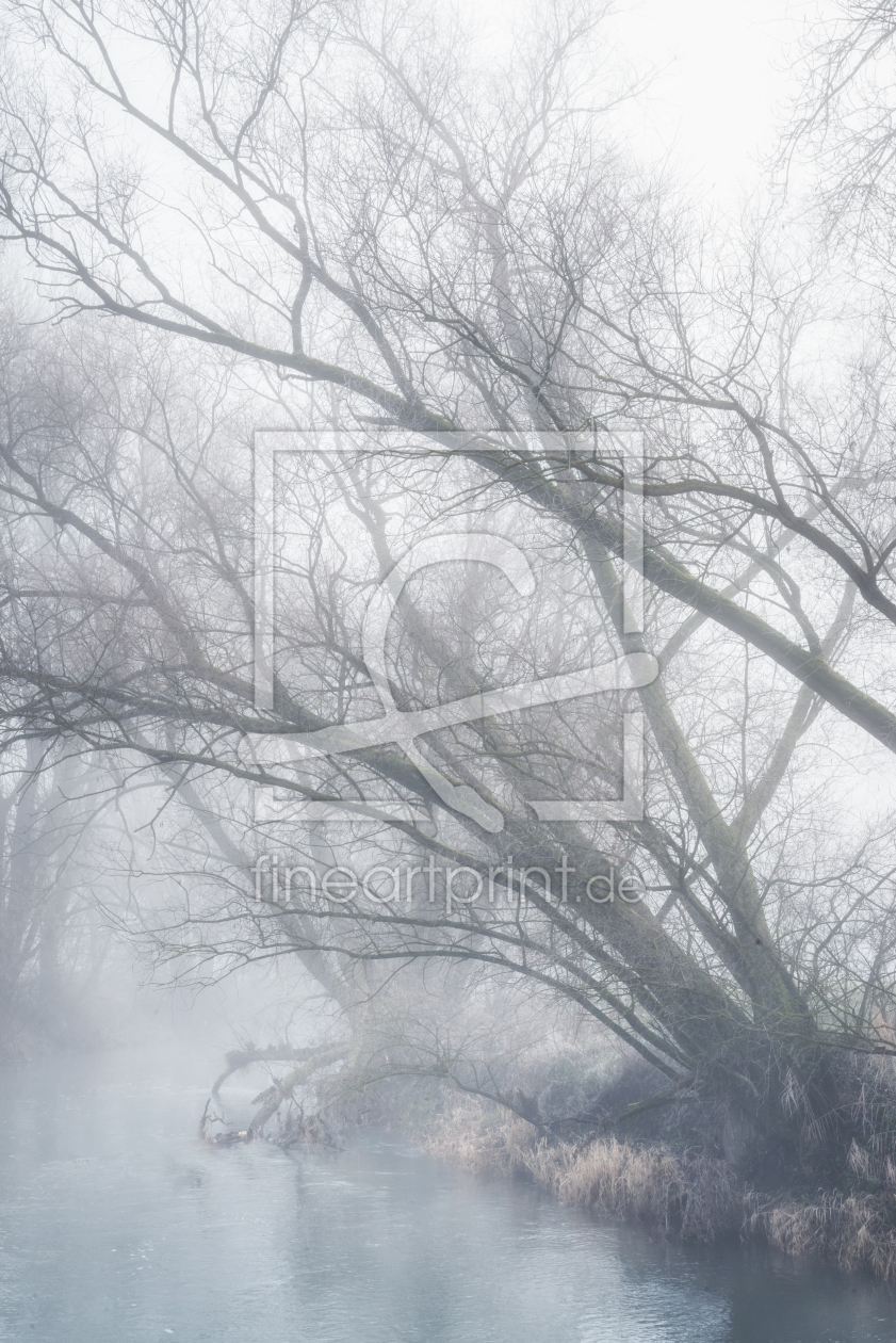 Bild-Nr.: 12166271 Fluß im Nebel erstellt von luxpediation
