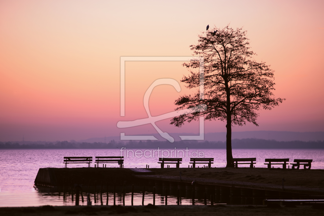 Bild-Nr.: 12166456 Blaue Stunde am See erstellt von Tanja Riedel