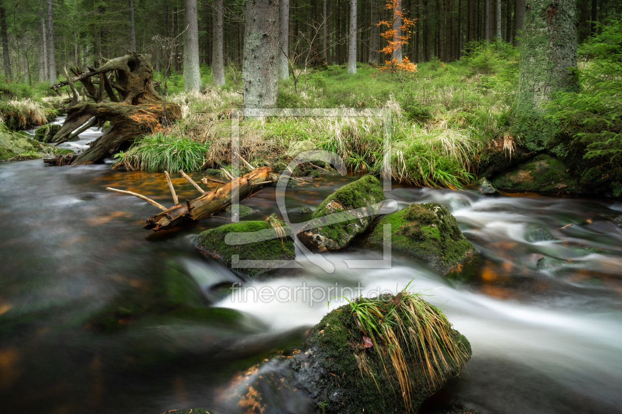 Bild-Nr.: 12167011 Bach im Harz erstellt von Steffen Henze