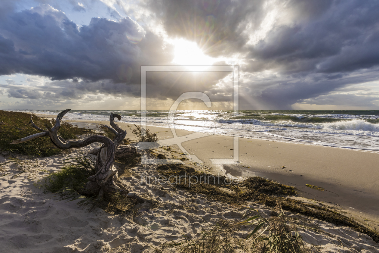 Bild-Nr.: 12168376 Darßer Weststrand an der Ostseeküste erstellt von dieterich