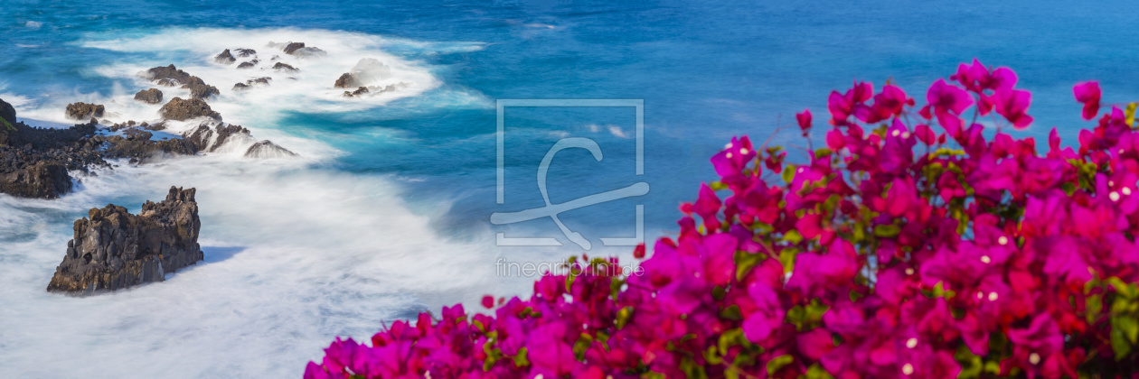 Bild-Nr.: 12168520 Blühende Bougainvillea erstellt von Walter G. Allgöwer