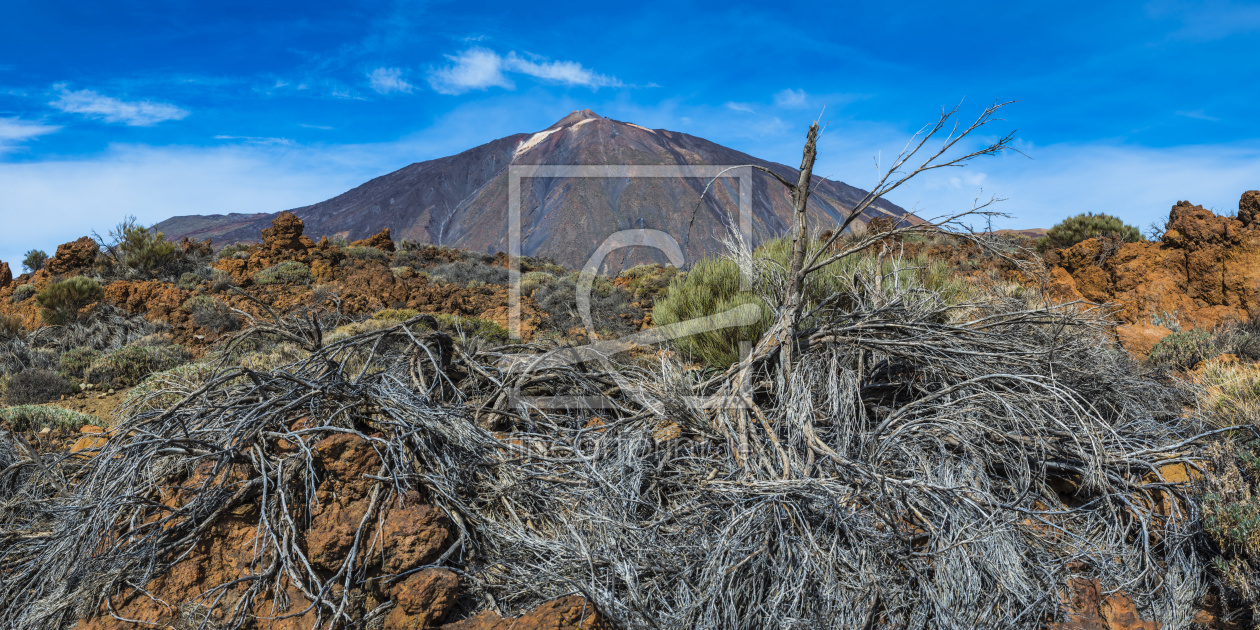 Bild-Nr.: 12170293 Nationalpark Teneriffa erstellt von Walter G. Allgöwer