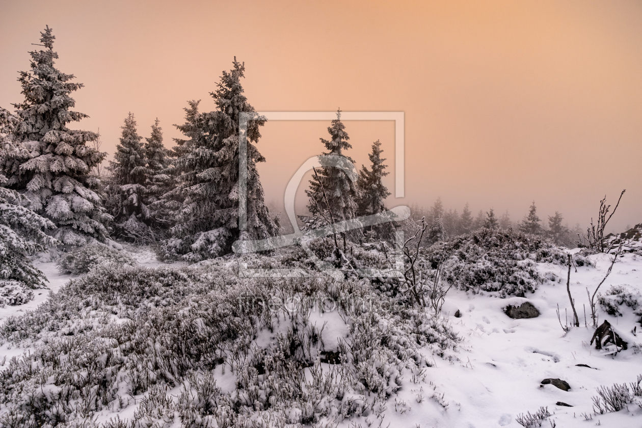 Bild-Nr.: 12174353 Winter und Nebel im Harz erstellt von Steffen Henze