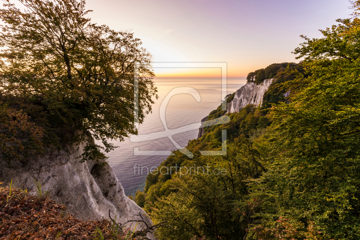 Bild-Nr.: 12176356 Kreidefelsen beim Königsstuhl auf der Insel Rügen erstellt von dieterich