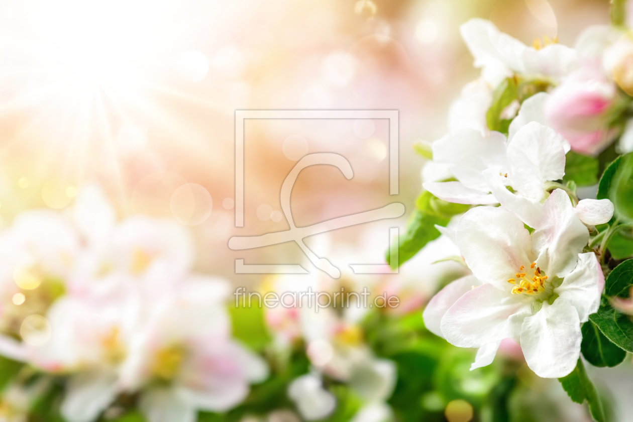 Bild-Nr.: 12177001 Frühlingshafter Hintergrund in zarten Fraben erstellt von Smileus