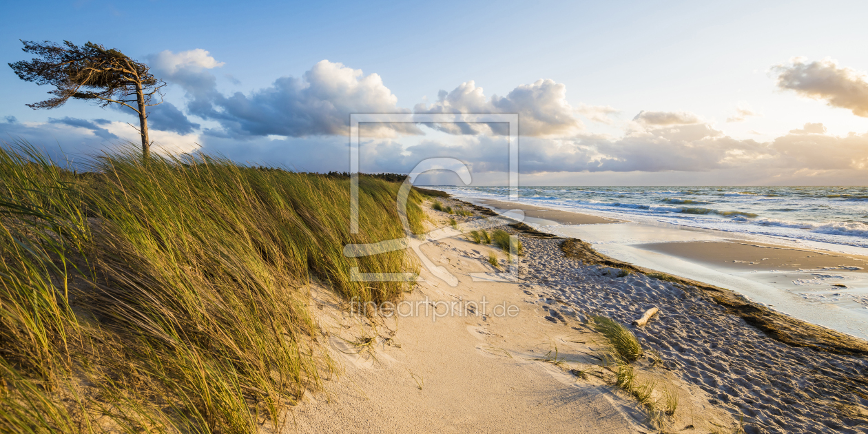 Bild-Nr.: 12177158 Darßer Weststrand an der Ostsee erstellt von dieterich