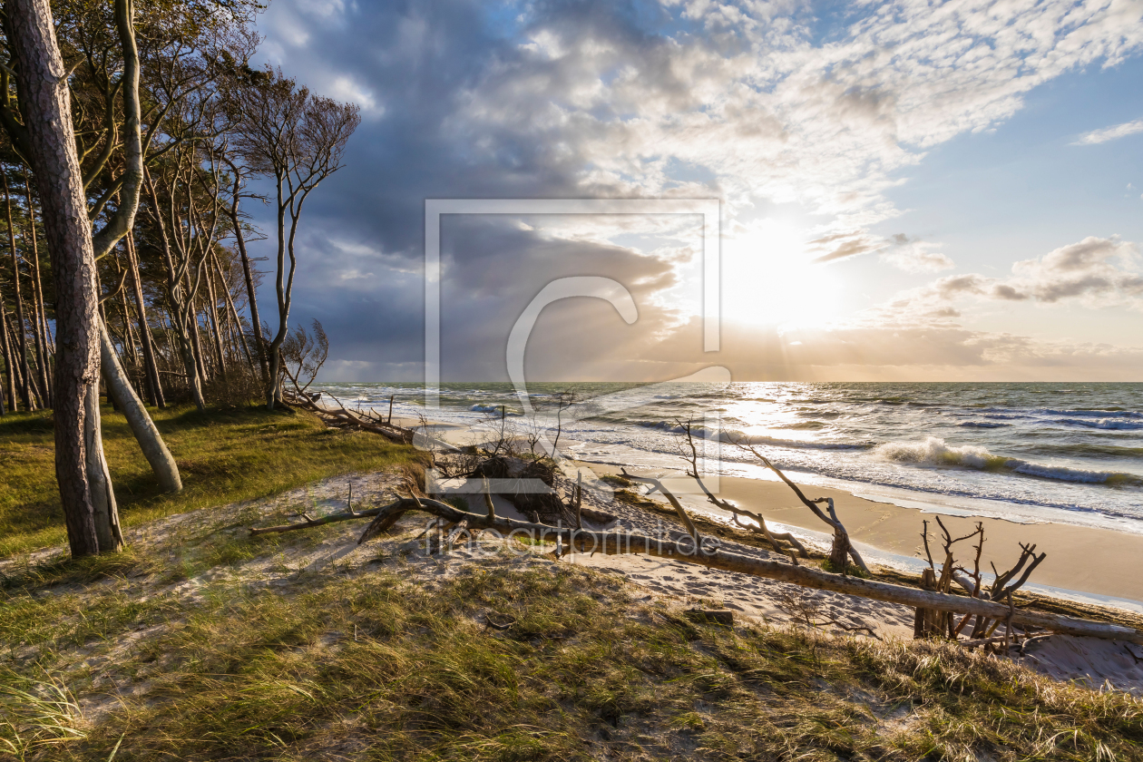 Bild-Nr.: 12178029 Darßer Weststrand an der Ostseeküste erstellt von dieterich