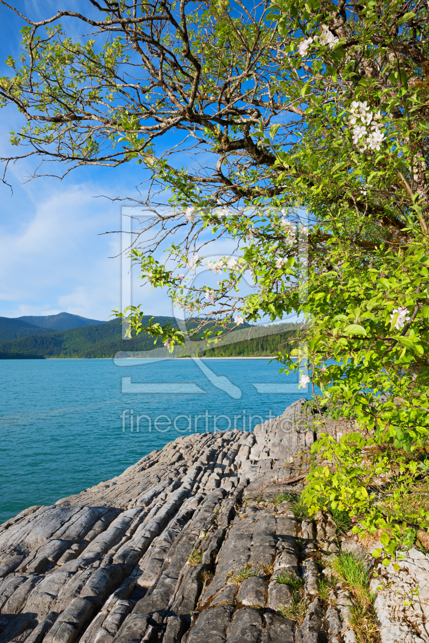 Bild-Nr.: 12183026 Felsenufer am Walchensee erstellt von SusaZoom