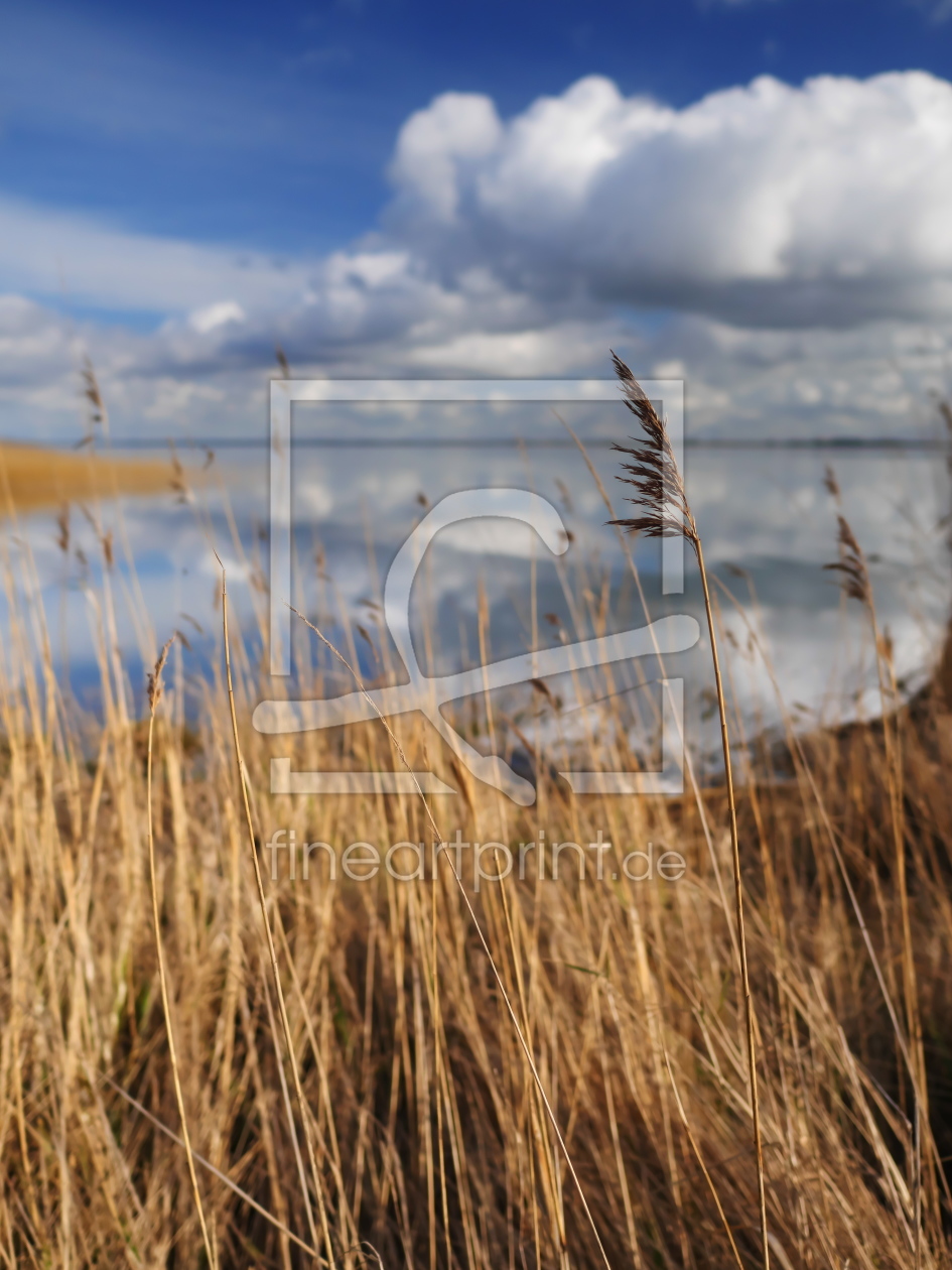 Bild-Nr.: 12184931 Der Bodden bei Wustrow erstellt von dresdner