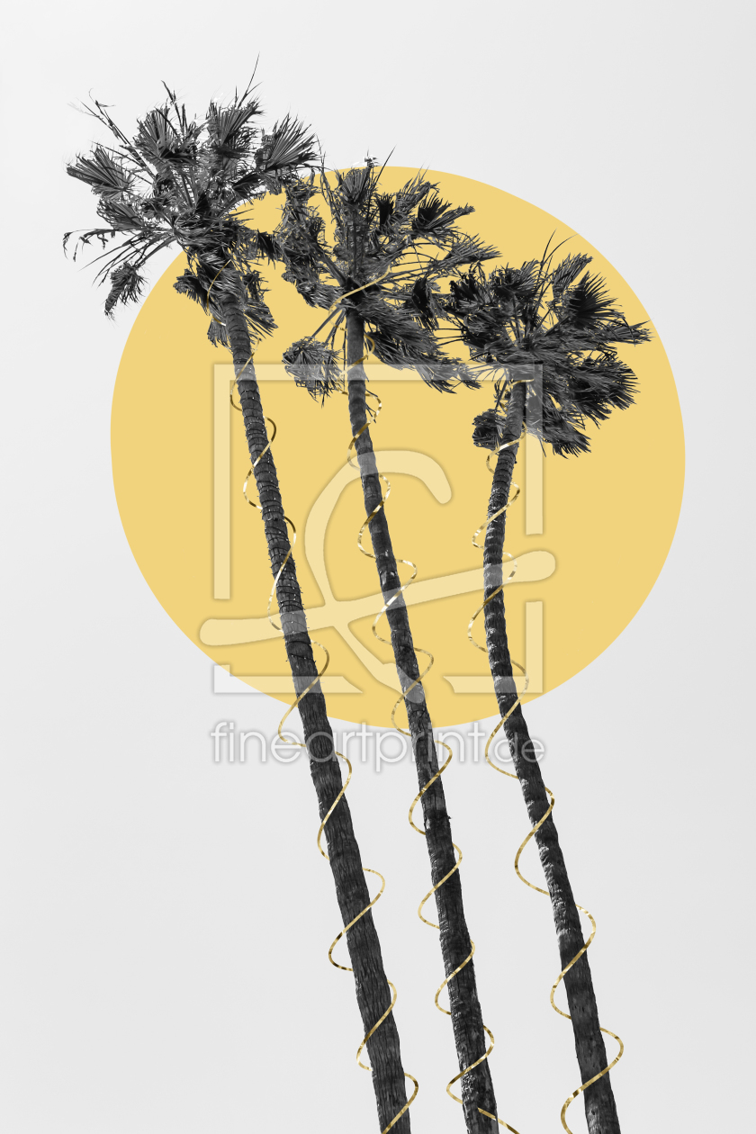 Bild-Nr.: 12189194 Palmen in der Sonne  erstellt von Melanie Viola