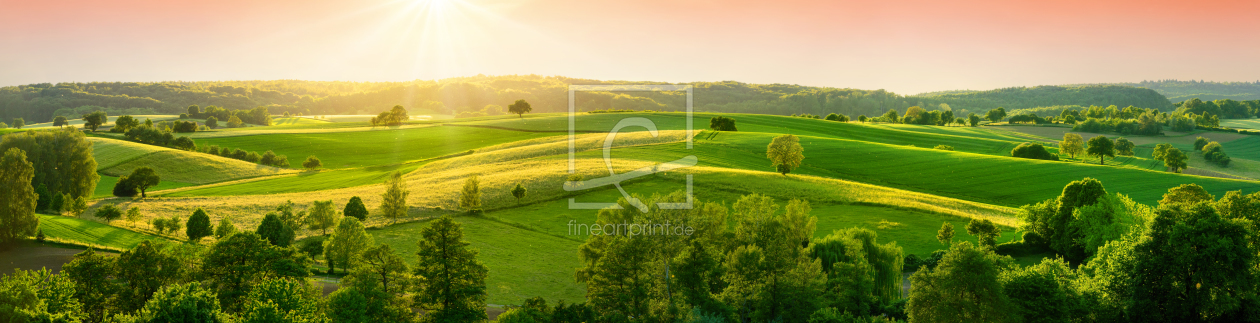 Bild-Nr.: 12189537 Hügellandschaft am Abend im Panorama Format erstellt von Smileus