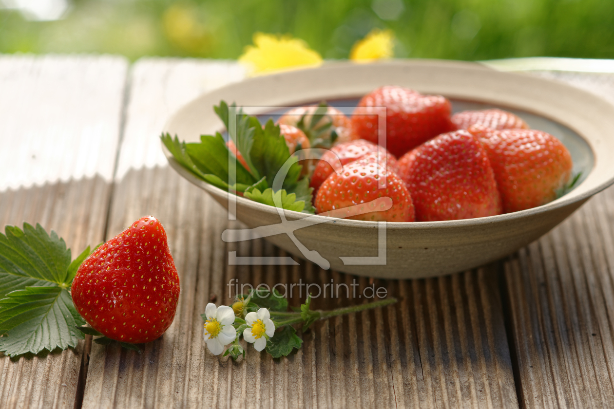 Bild-Nr.: 12199238 Frische Erdbeeren erstellt von Rolf Eschbach