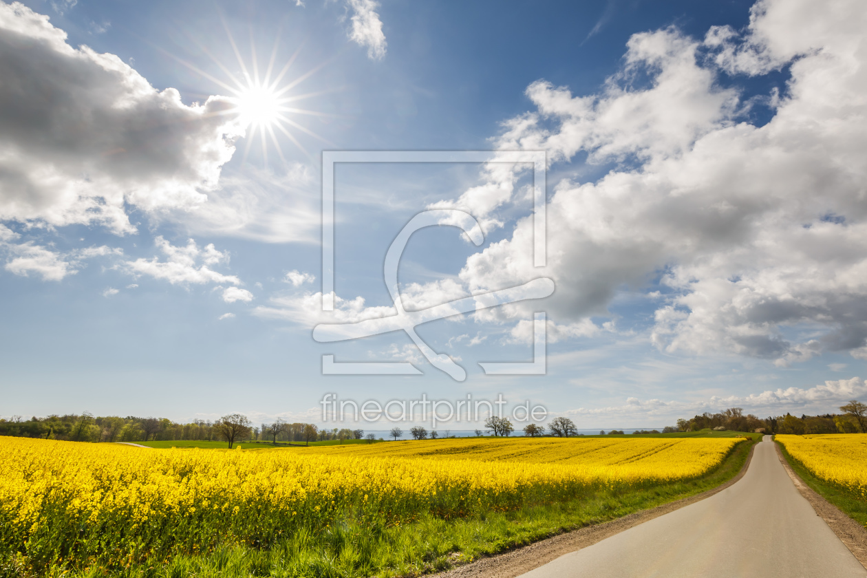 Bild-Nr.: 12200678 Sonnenstraße   erstellt von Ursula Reins