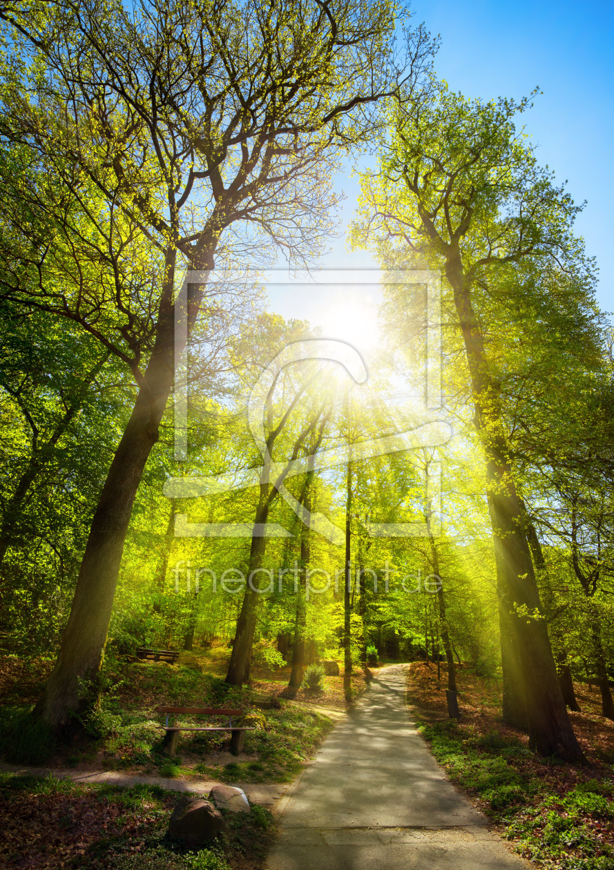 Bild-Nr.: 12201074 Die Sonne scheint durch Bäume im Park erstellt von Smileus
