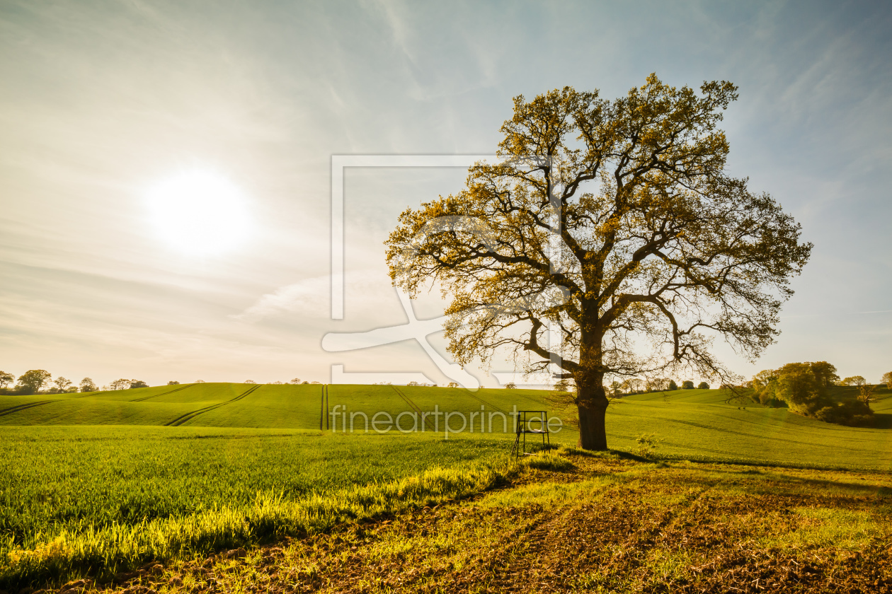 Bild-Nr.: 12206160 TREE of LIFE   - neu- erstellt von Ursula Reins