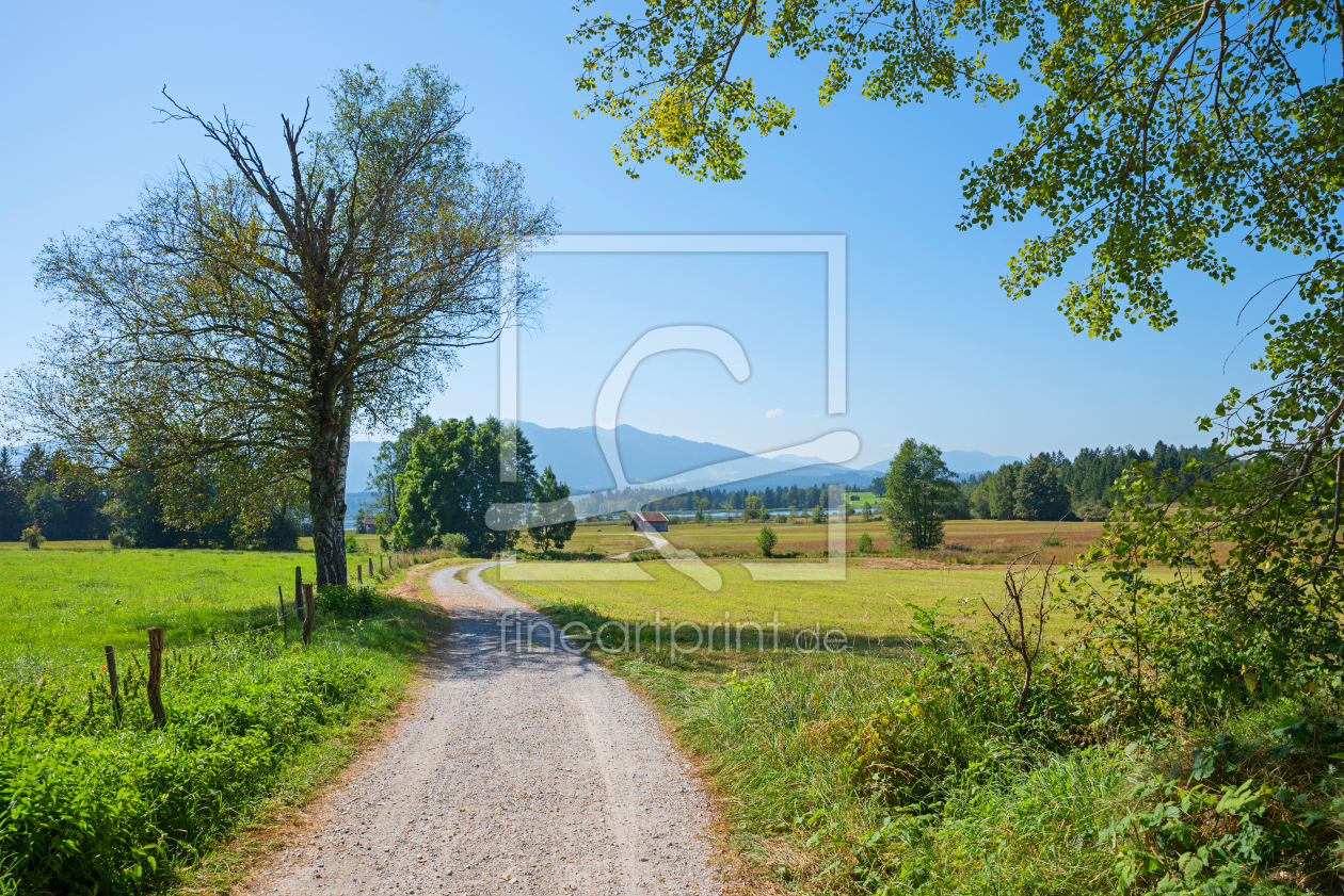 Bild-Nr.: 12212434 Naturlandschaft Uffing am Staffelsee erstellt von SusaZoom