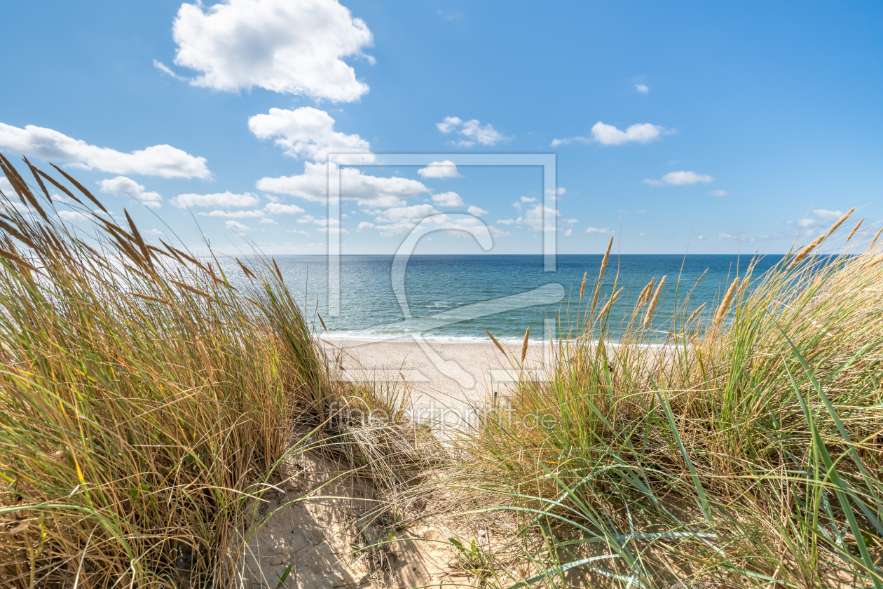 Bild-Nr.: 12218862 Dünengras am Meer erstellt von eyetronic