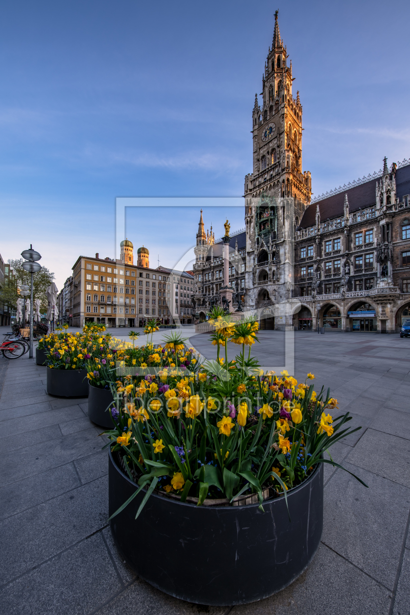 Bild-Nr.: 12218991 Marienplatz München erstellt von Achim Thomae