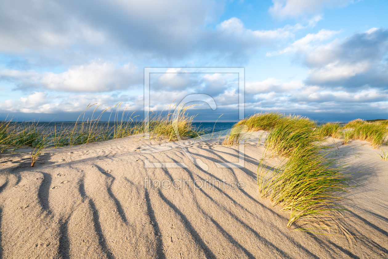 Bild-Nr.: 12219255 Dünenstrand erstellt von eyetronic