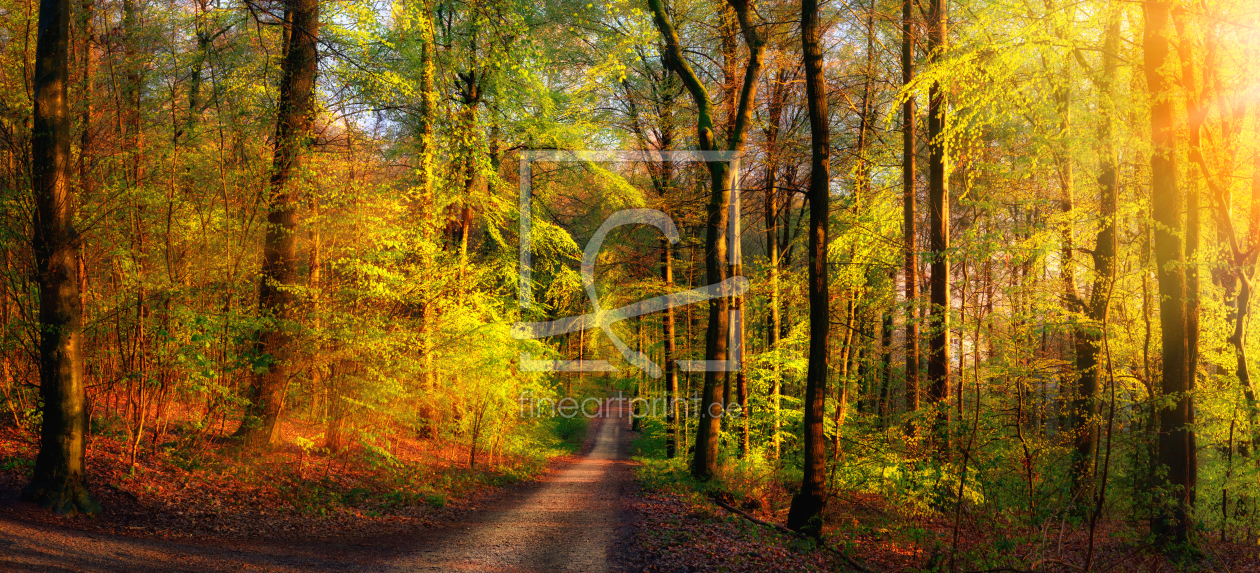 Bild-Nr.: 12220671 Goldene Waldszene mit Stahlen von Licht erstellt von Smileus