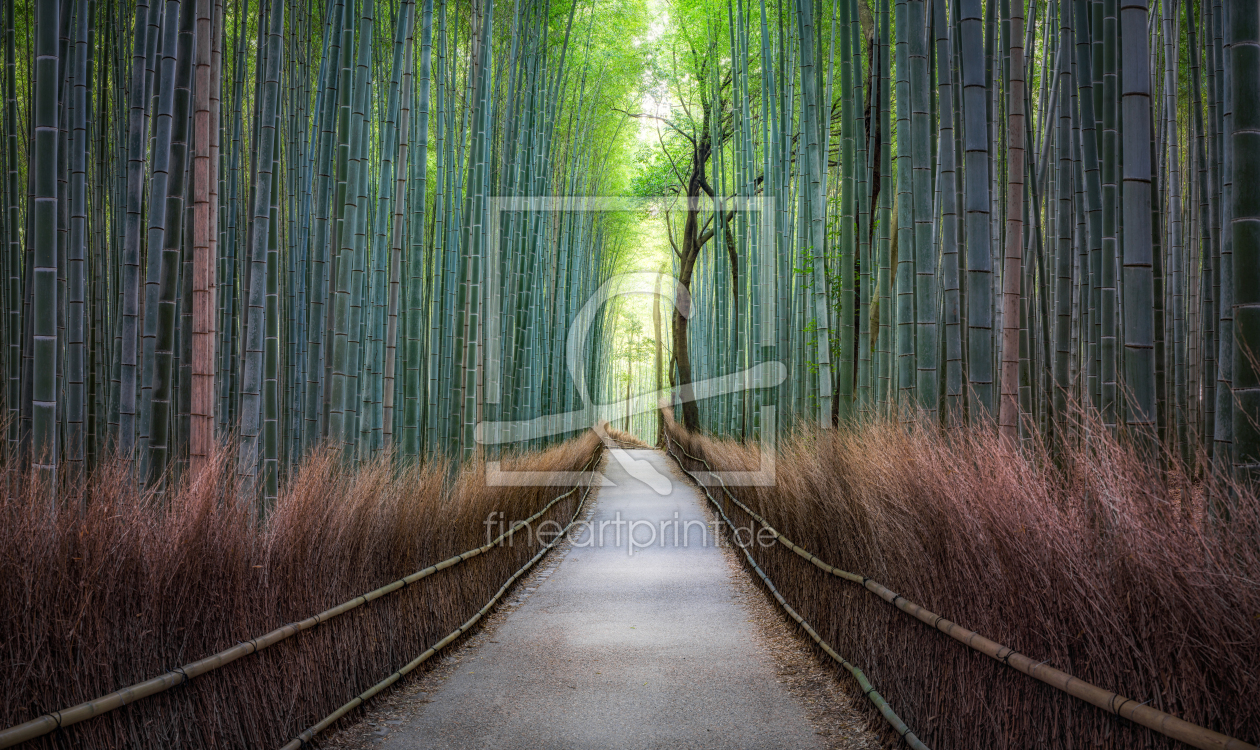 Bild-Nr.: 12227212 Bambuswald in Arashiyama erstellt von eyetronic