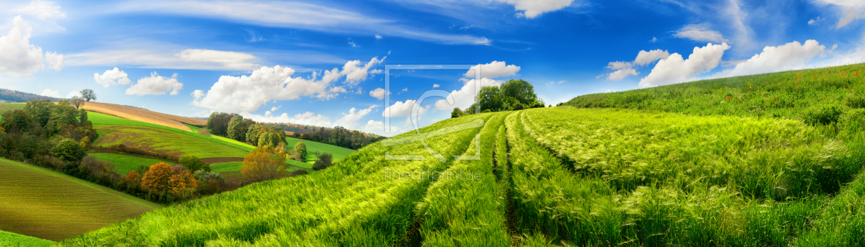 Bild-Nr.: 12227948 Idyllisches Gerstenfeld unter schönen Wolken erstellt von Smileus