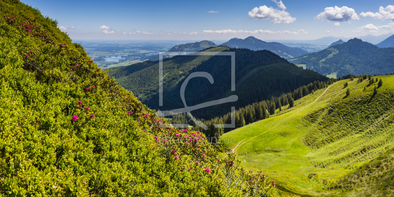 Bild-Nr.: 12228019 Alpenrosen erstellt von Walter G. Allgöwer