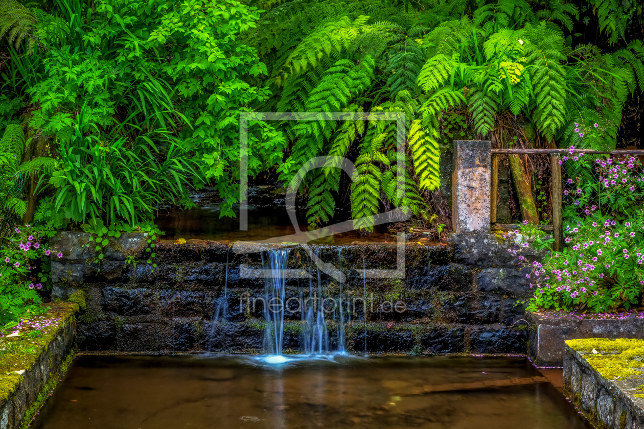Bild-Nr.: 12228123 Verborgener Garten auf Madeira erstellt von Thomas Herzog
