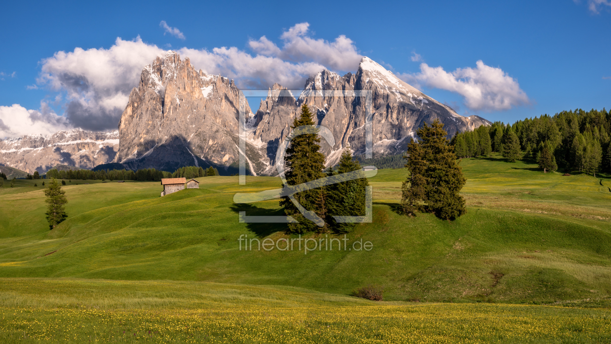 Bild-Nr.: 12228204 Frühling auf der Seiseralm erstellt von Achim Thomae