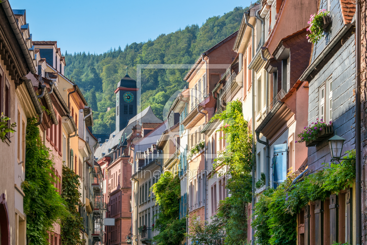 Bild-Nr.: 12228365 Große Mantelgasse in Heidelberg erstellt von eyetronic