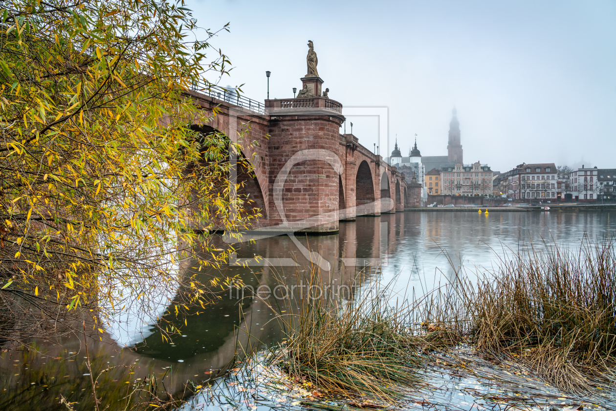 Bild-Nr.: 12228833 Alte Brücke in Heidelberg erstellt von eyetronic