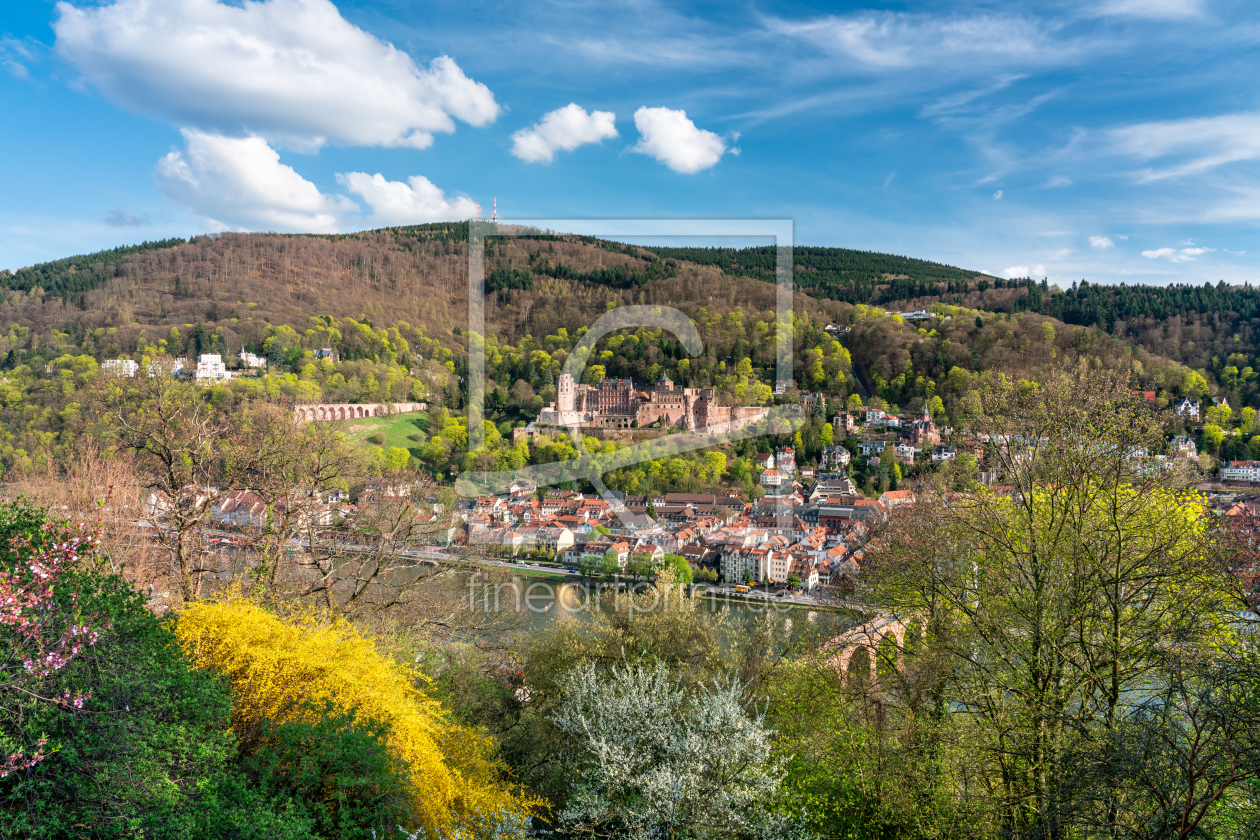 Bild-Nr.: 12229260 Heidelberg im Frühling erstellt von eyetronic