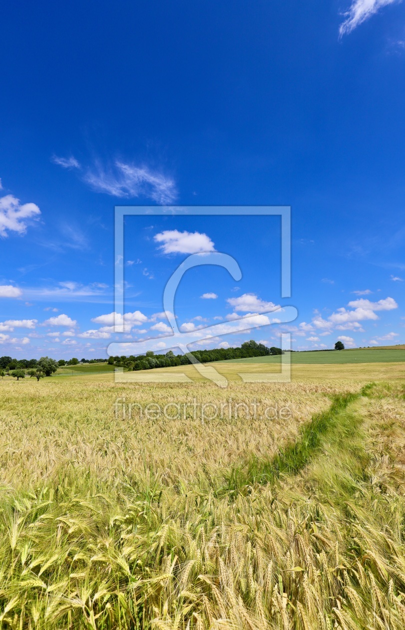 Bild-Nr.: 12229425 Landschaft mit Korn  erstellt von Amazone54