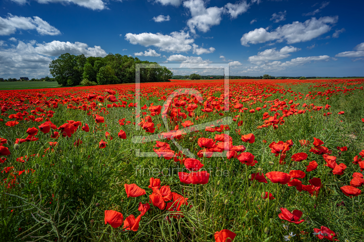 Bild-Nr.: 12229835 Das rote Feld erstellt von FotoDeHRO