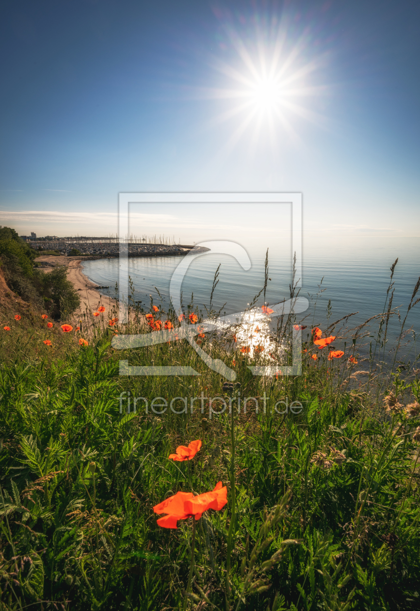 Bild-Nr.: 12233907 Mohnblumen auf der Steilküste erstellt von Nordbilder