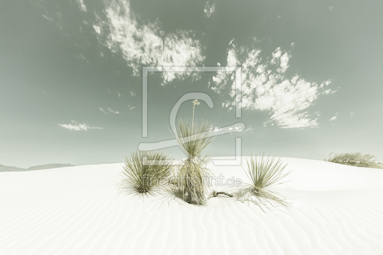 Bild-Nr.: 12243102 WHITE SANDS Idylle - Vintage erstellt von Melanie Viola