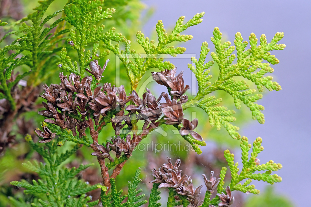 Bild-Nr.: 12243905 Herbstidylle erstellt von Ostfriese