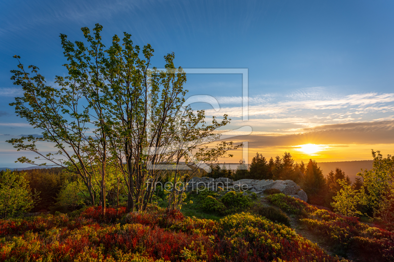 Bild-Nr.: 12244551 Sonnenuntergang auf dem Sonnenberg erstellt von PH-Photography