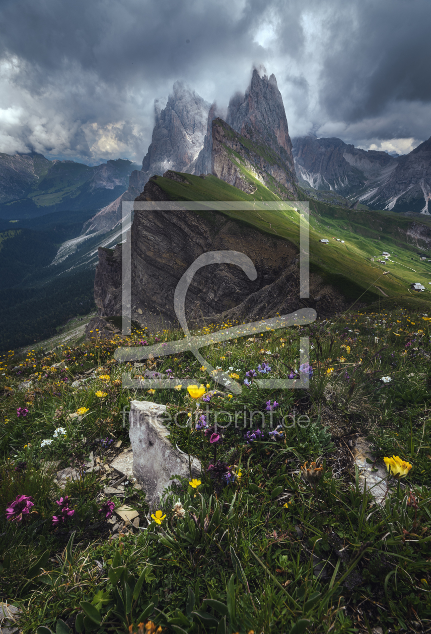 Bild-Nr.: 12245767 Dolomiten Seceda im Sommer bei Regen erstellt von Jean Claude Castor