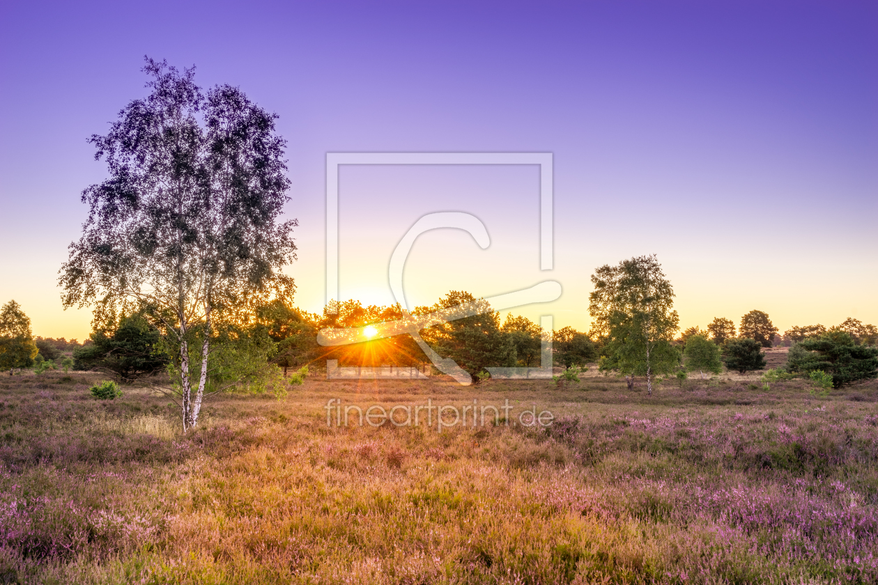 Bild-Nr.: 12247159 Sonnenaufgang in der Heide erstellt von Steffen Henze