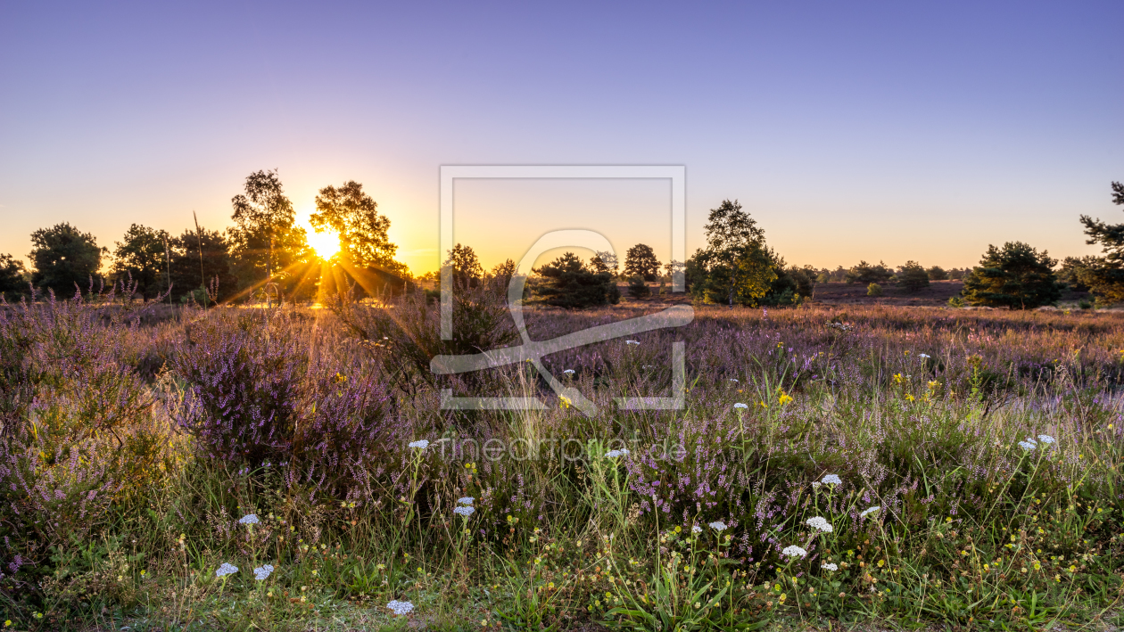 Bild-Nr.: 12247286 Osterheide erstellt von Steffen Henze