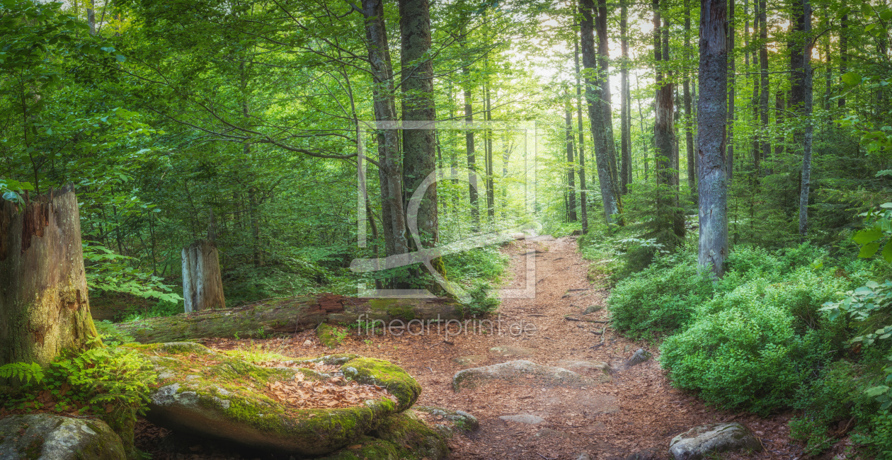 Bild-Nr.: 12250816 Rastplatz im Nationalpark Bayerwald erstellt von luxpediation