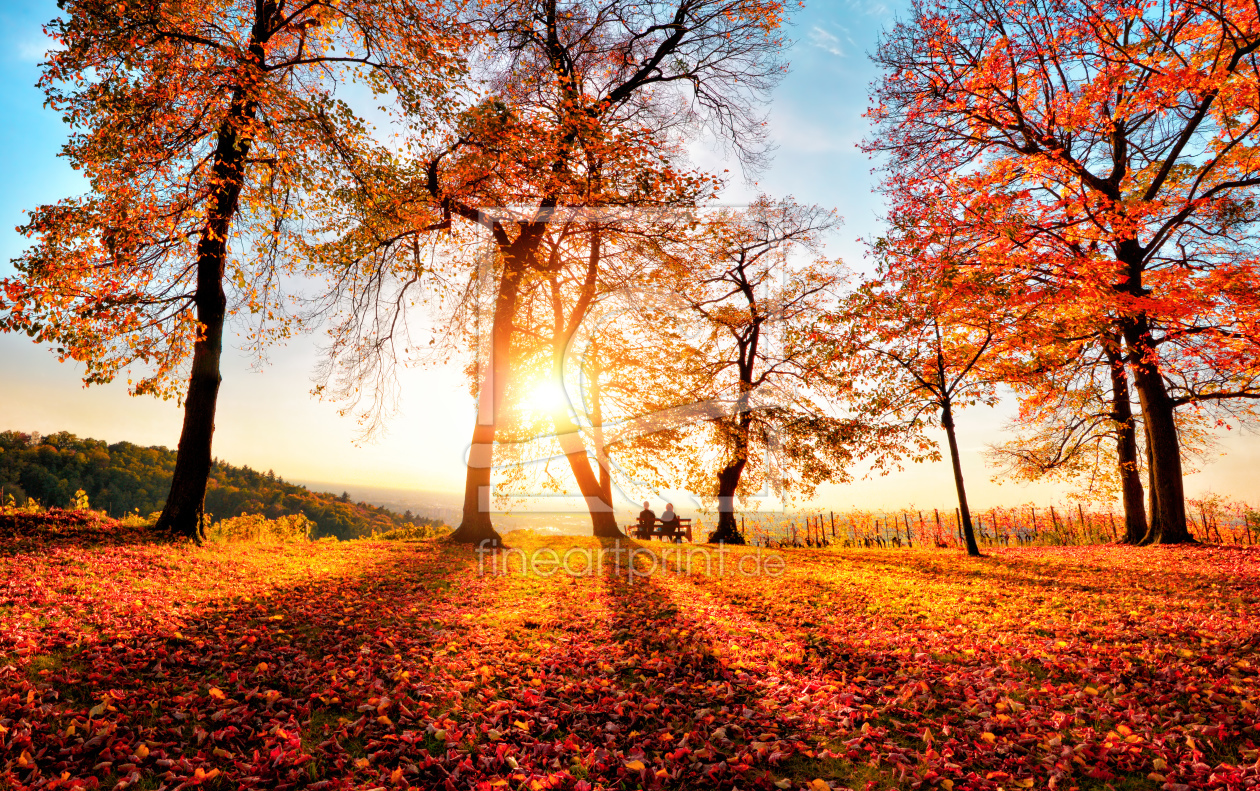 Bild-Nr.: 12251463 Herbstliche Parkszene im goldenen Sonnenlicht erstellt von Smileus